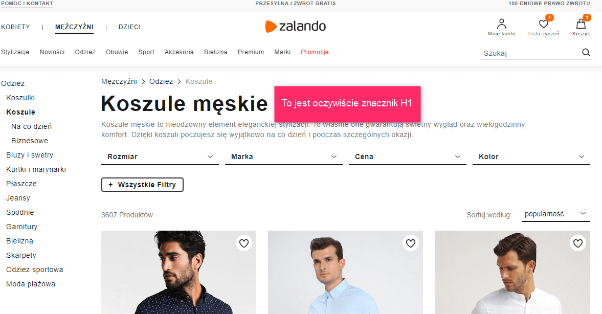 optymalizacja serwisów internetowych