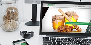 anmar katalog prestashop strona typo3